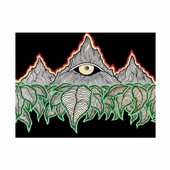 Little Authority Man